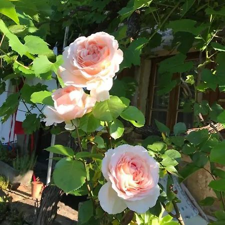 La Maison D Helene 3* Cambes (Lot)