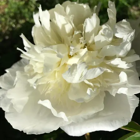 La Maison D Helene 3* Cambes (Lot)