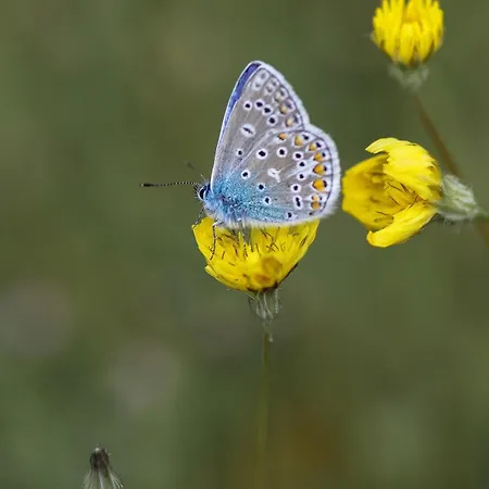 Hotel La Maison D Helene